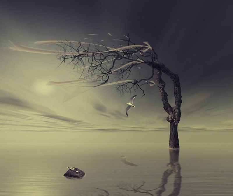 Cry of the autumn фото превью