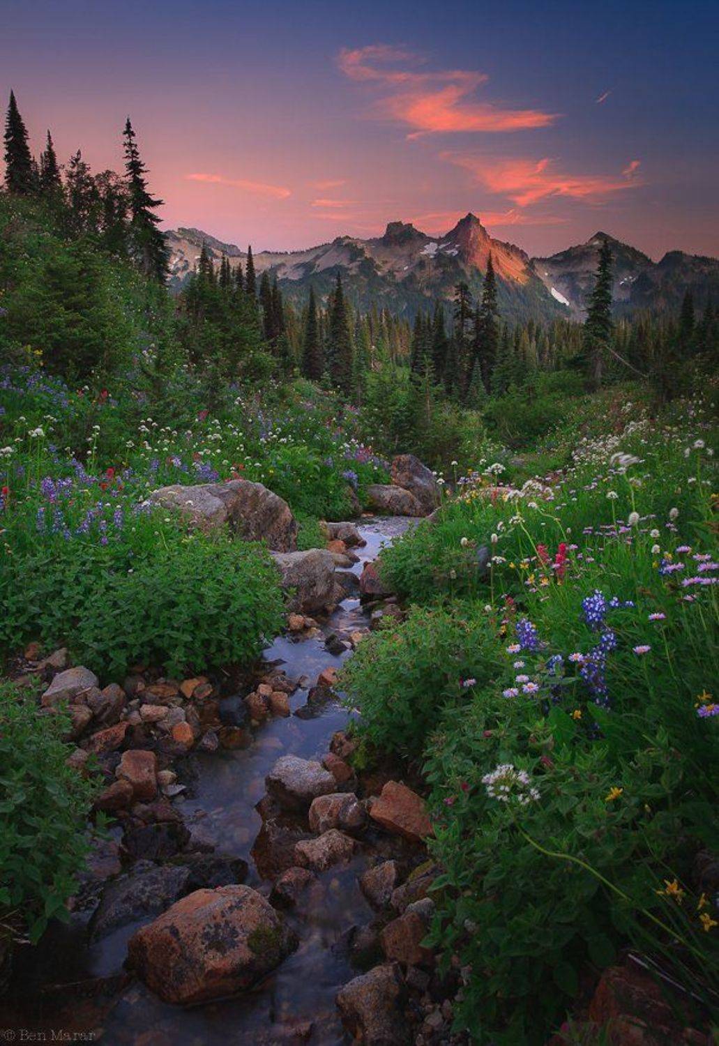 mt. rainier np, paradise., Ben Marar