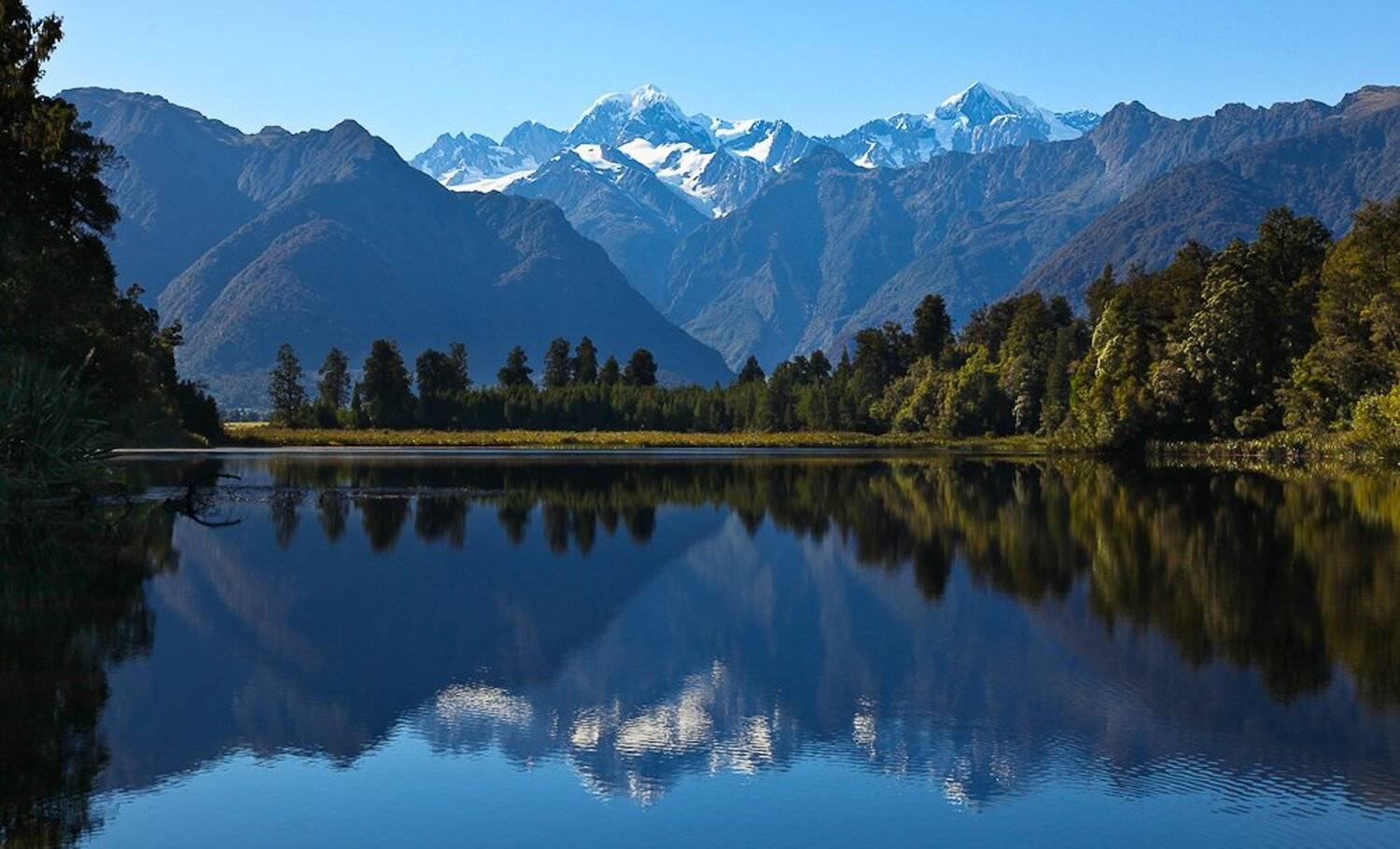 , Надежда Звягина / New Zealand