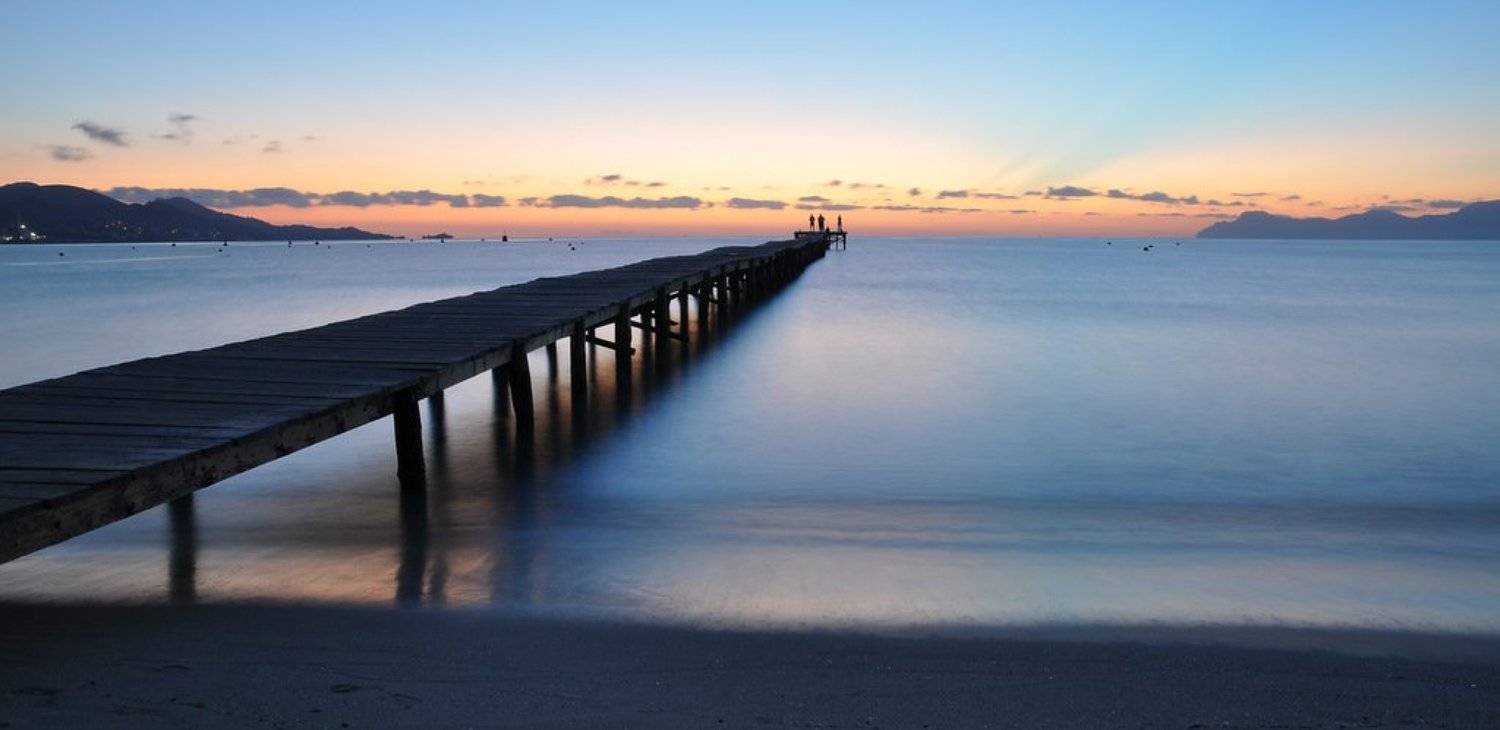 , Света и Вася