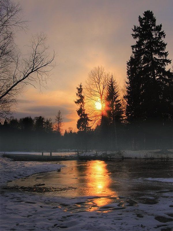 ~39~ фото превью