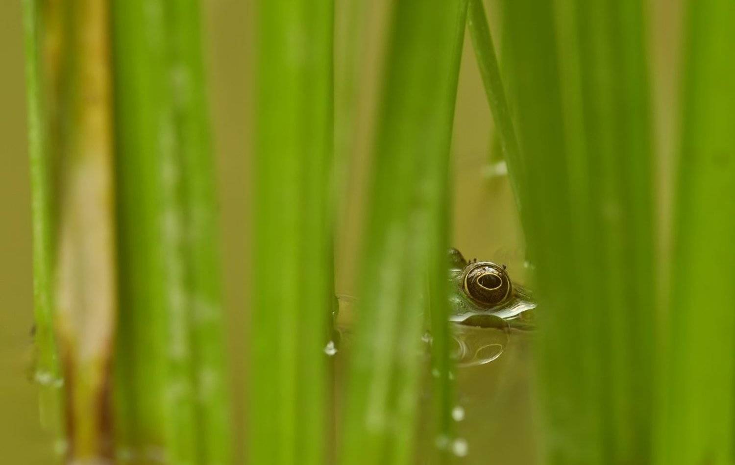 , Александр Юкарев