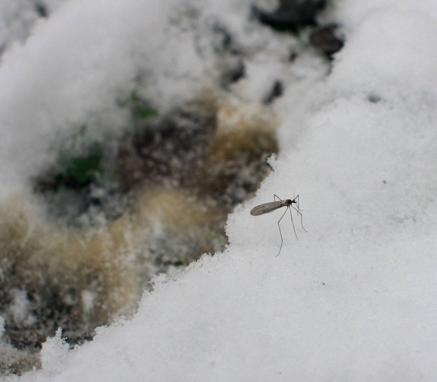 , Андрей(AWERS)