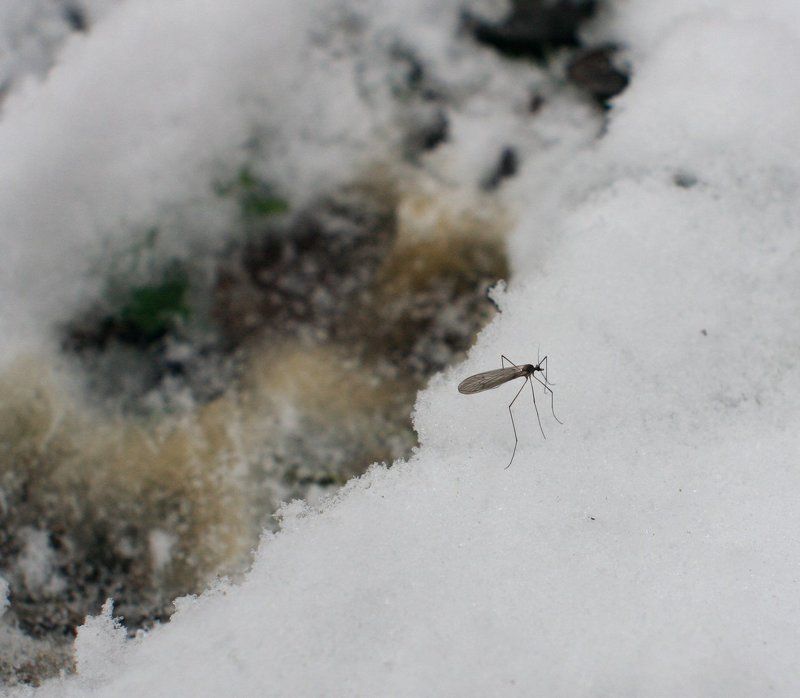 11.12.11г. фото превью