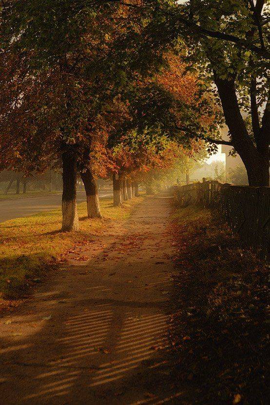 , Александр