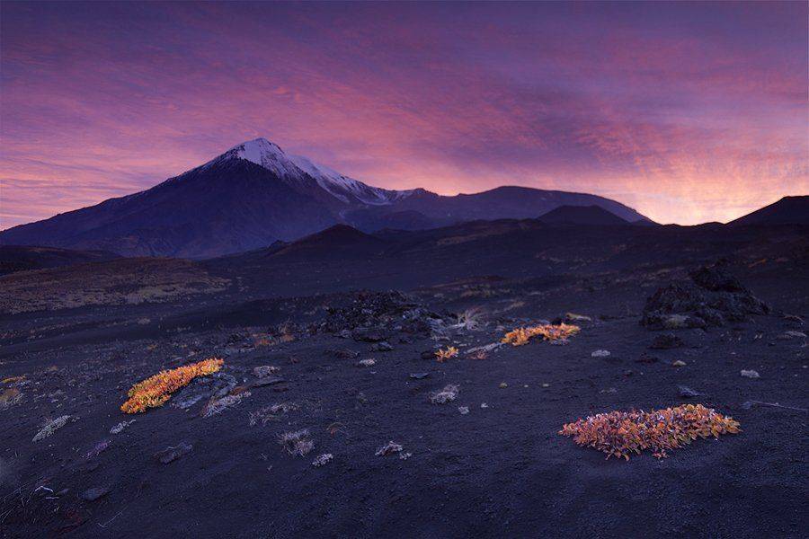 камчатка, вулкан, толбачик, рассвет, осень,, Денис Будьков