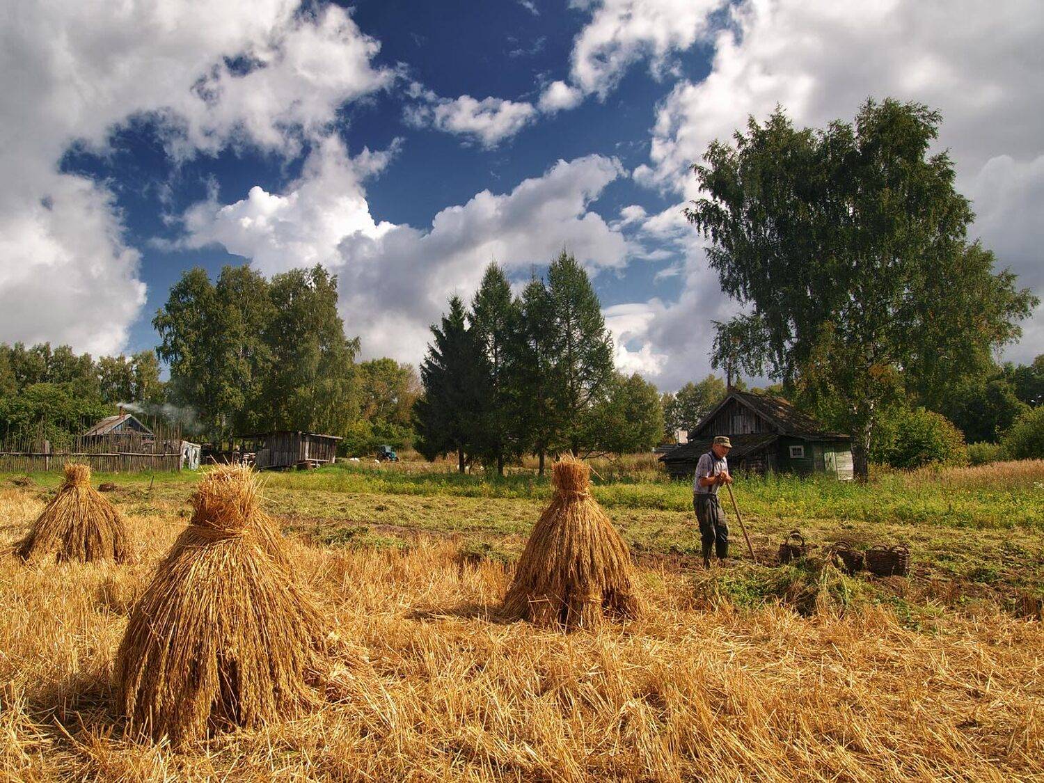, Максим Евдокимов