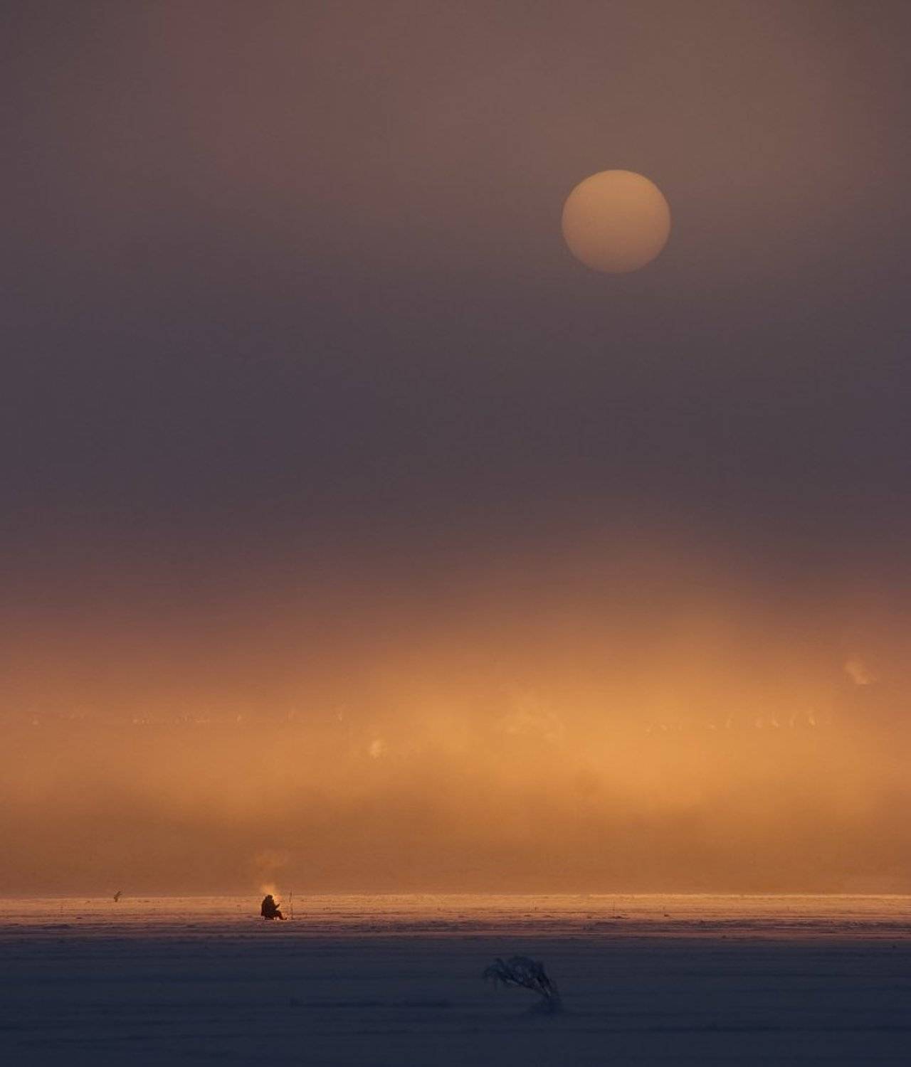 , Олег Пожарков