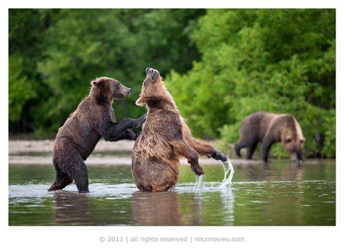 Ниже, Маня, вот, вот, вот!