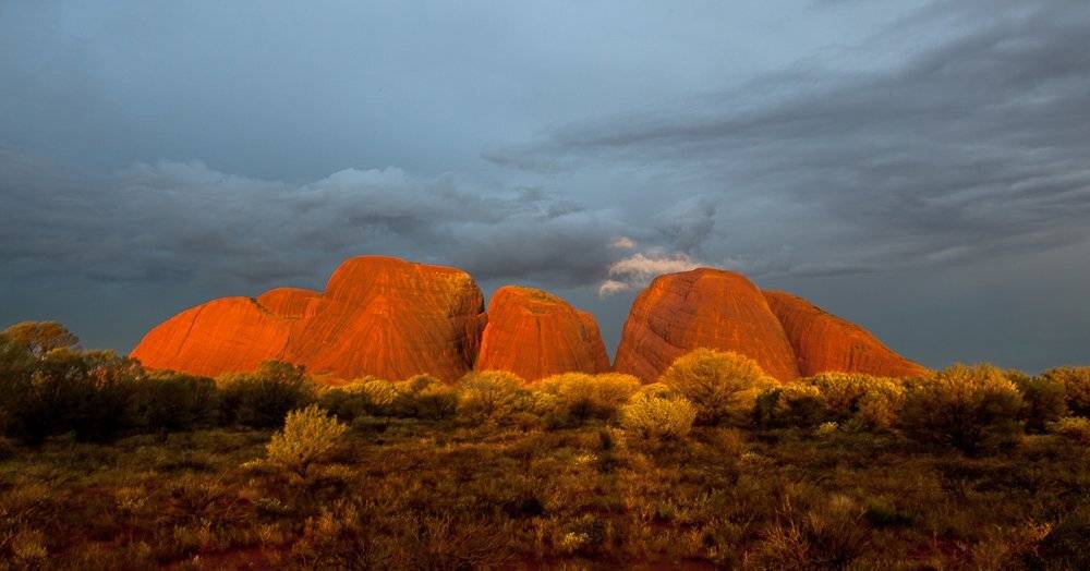 , Надежда Звягина / New Zealand