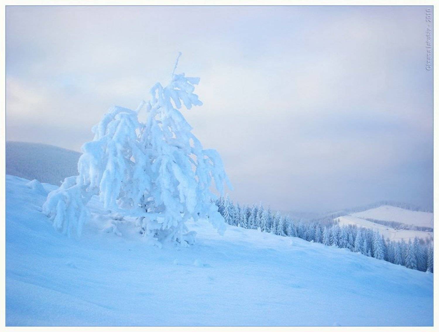 осень, зима, карпаты, Оксана Якубів