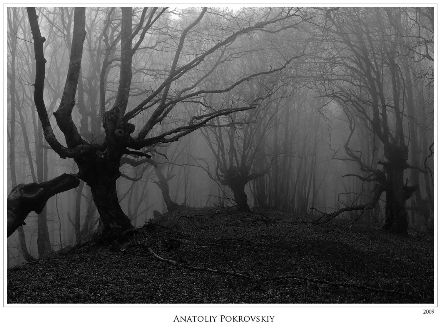 , Анатолий Покровский