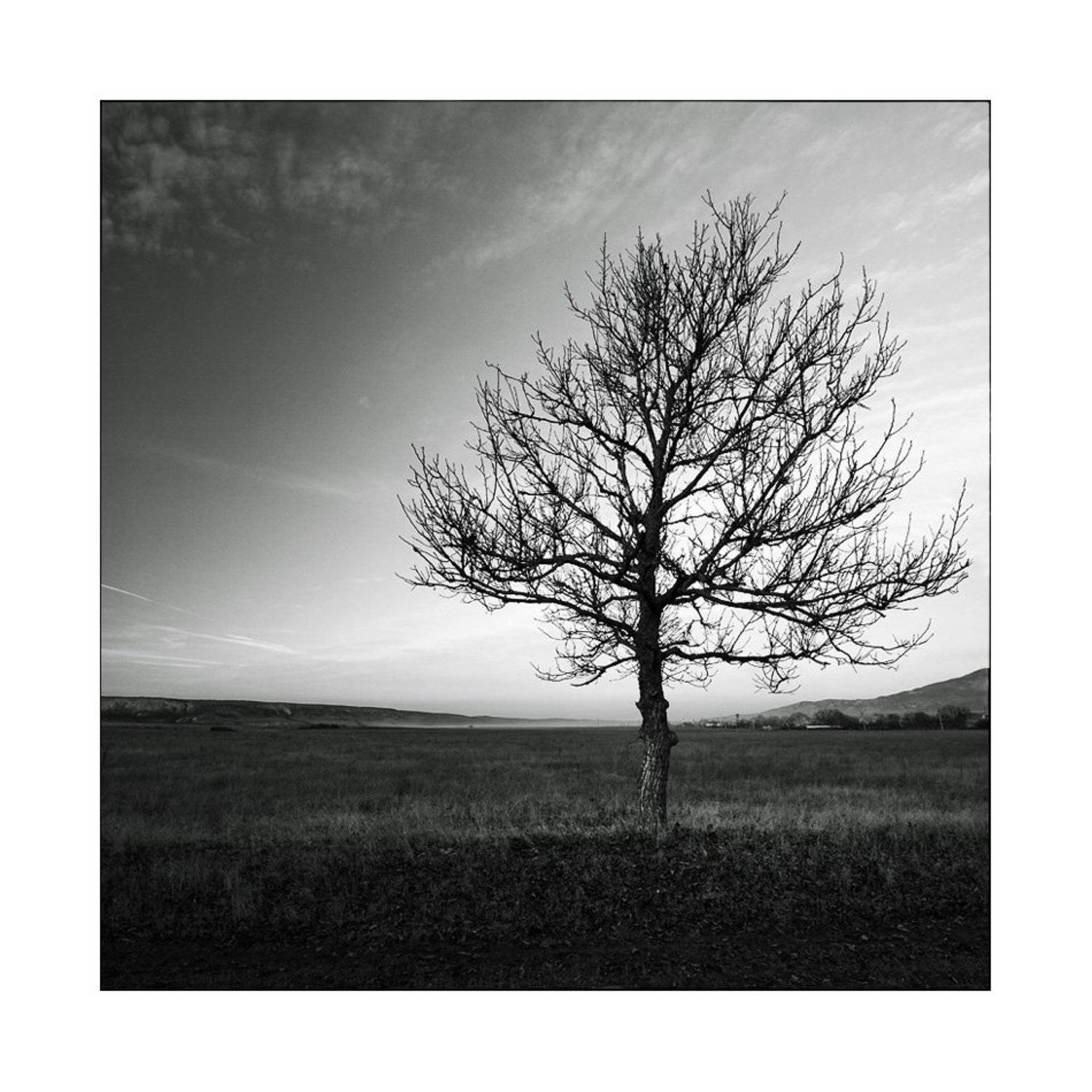 , Лариса Гурьева