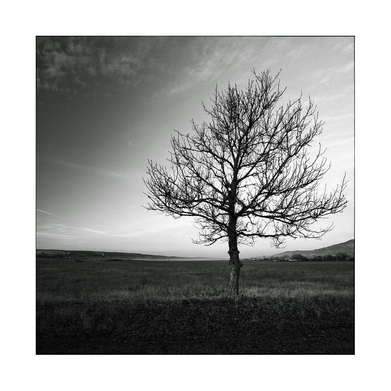 Рождение тумана... фото превью