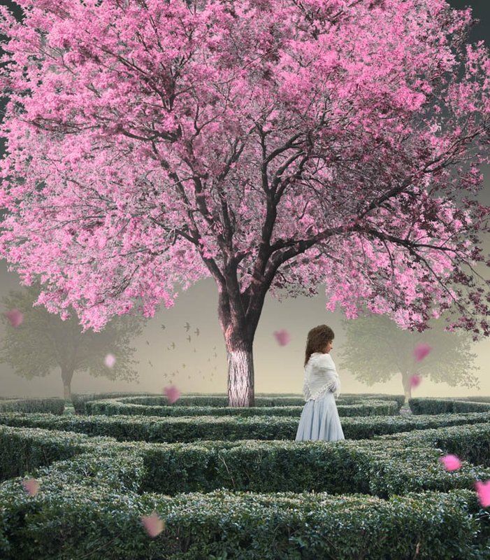 The muse and infinite garden -color version- фото превью