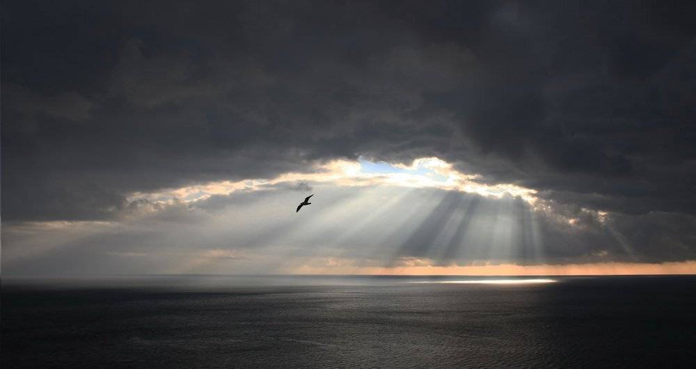 , Игорь Олейник