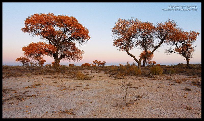 photo, safari, kazakhstan, nature, season, казахстан, природа Времена Года фото превью