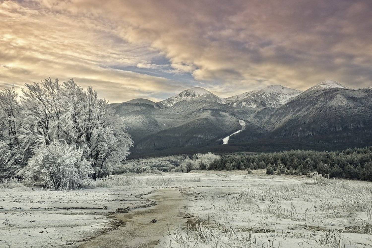 , Красимир Матаров