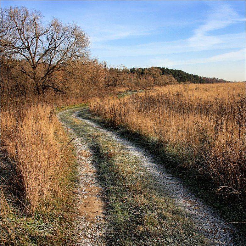 река, москва, берег, дорога, осень, заморозки, звенигород, Тарасов Алексей