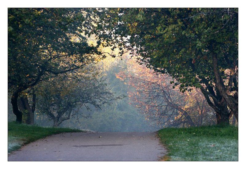 Арка фото превью