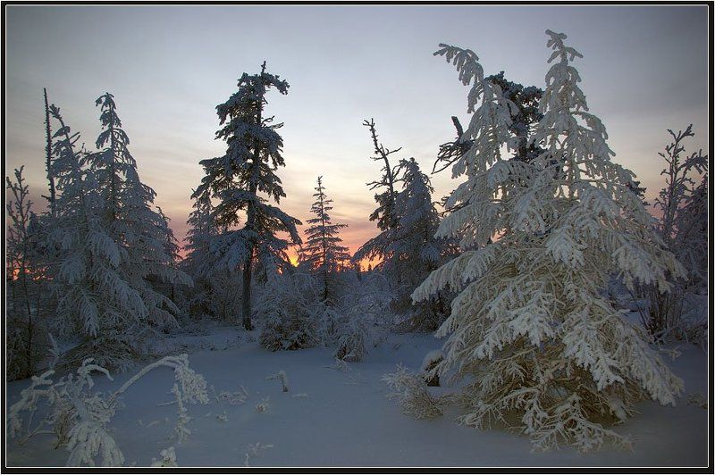 тайга, вечер, зима, мороз, приполярье Зимний вечер фото превью
