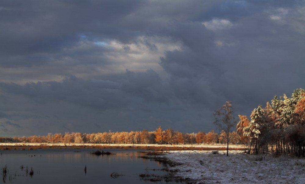 , Николай Морский