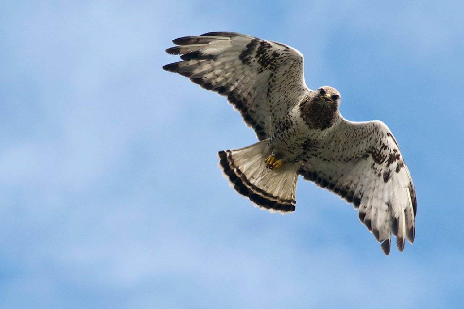 , Иван Кислов