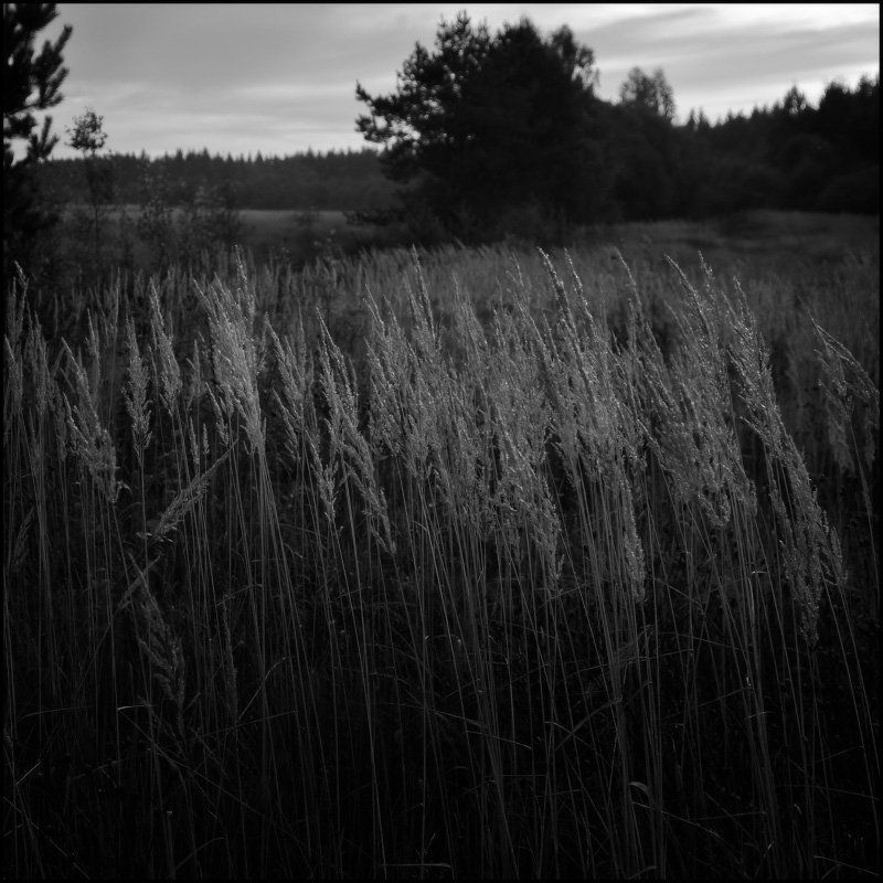 Пробуждение фото превью