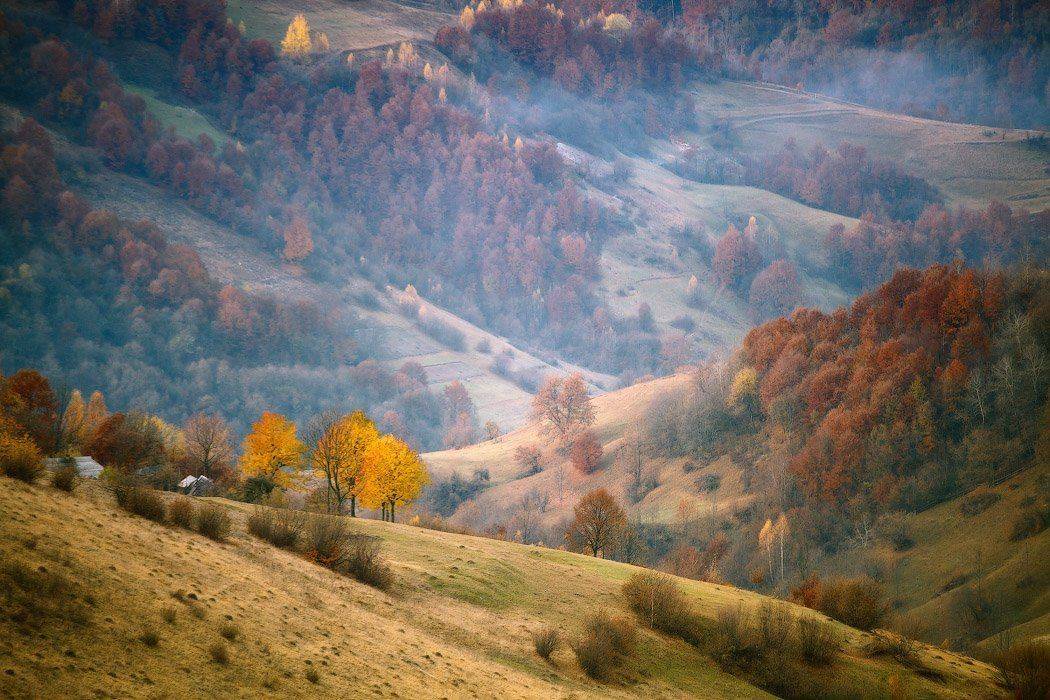 карпаты, осень, ноябрь, Вейзе Максим