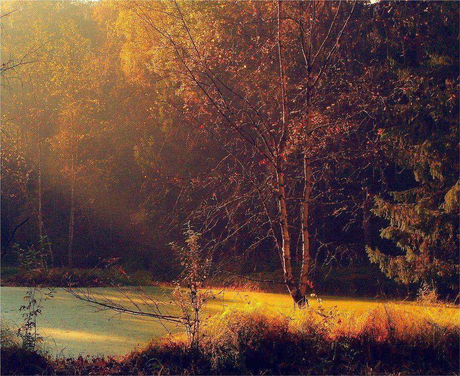 осень, болото, Сергей