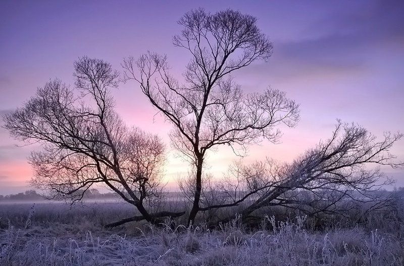 природа, пейзаж *** фото превью