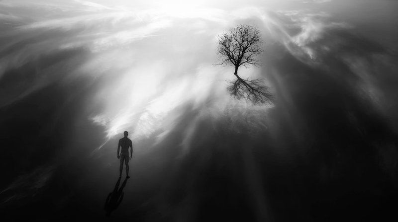 The Man фото превью