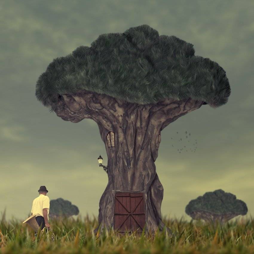 , Caras Ionut