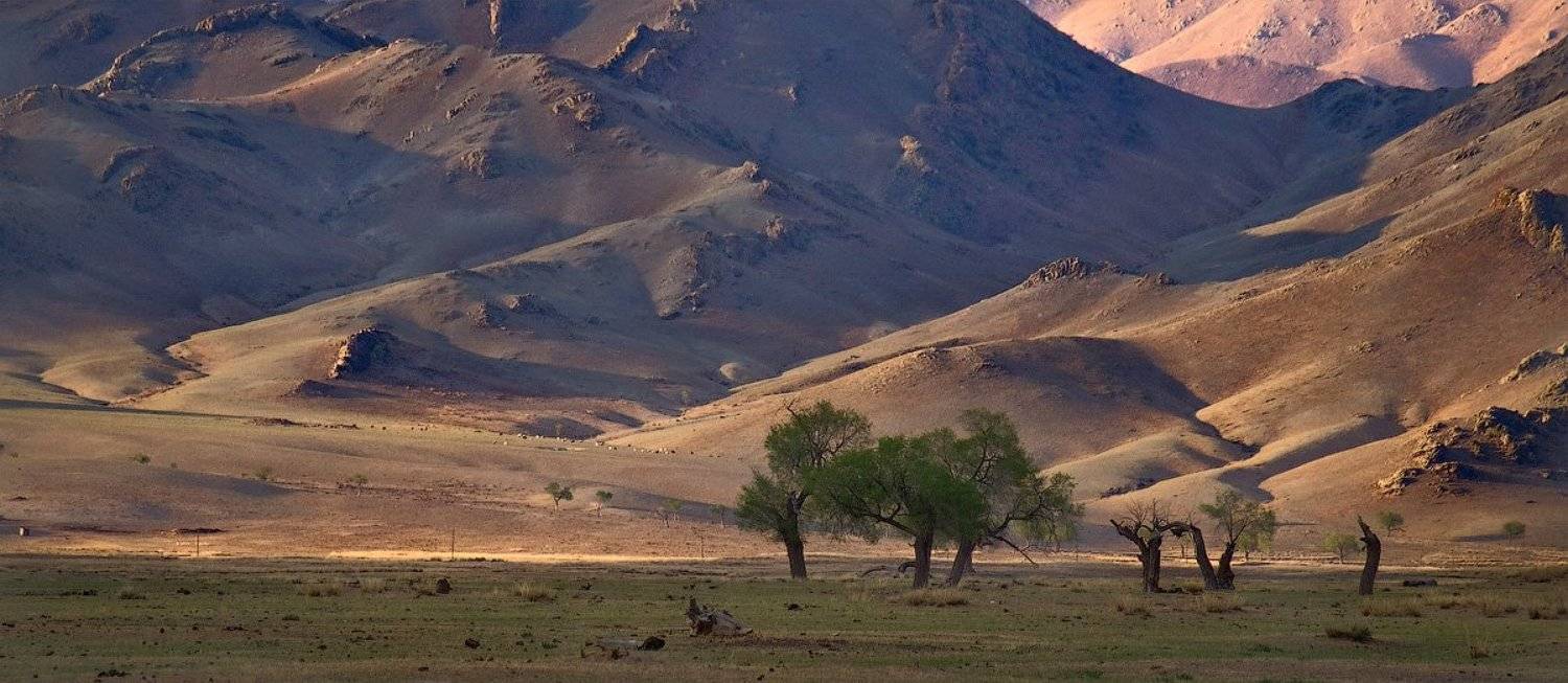 монголия, anikban