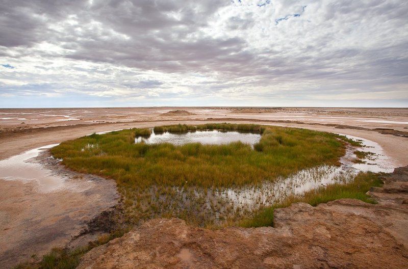 феномен фото превью