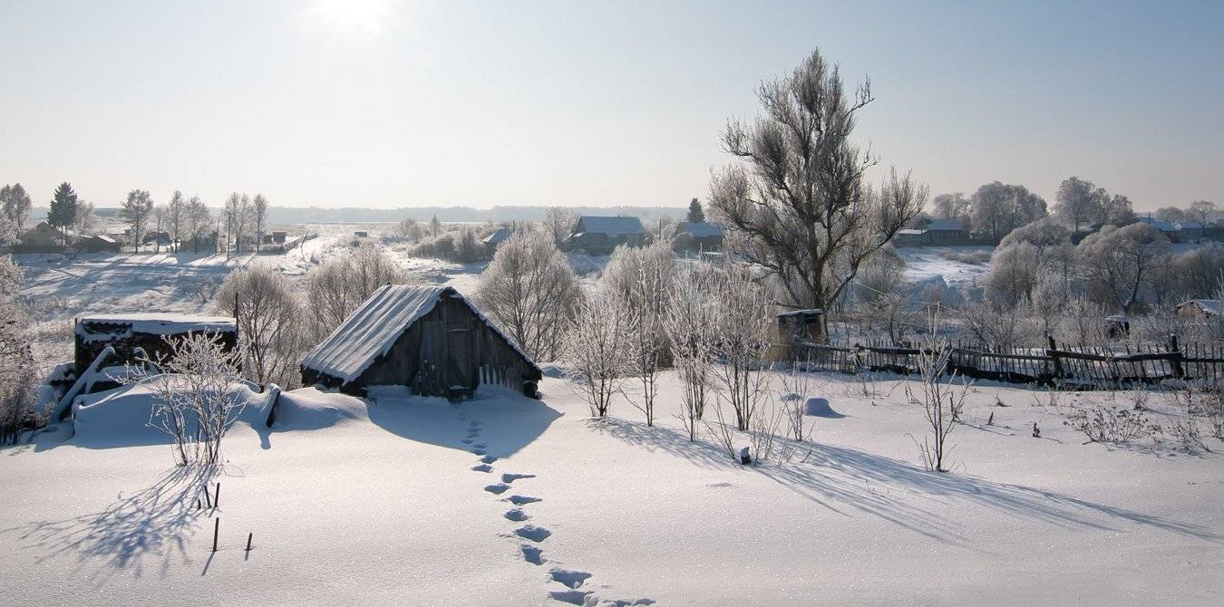 , Людмила Прокофьева