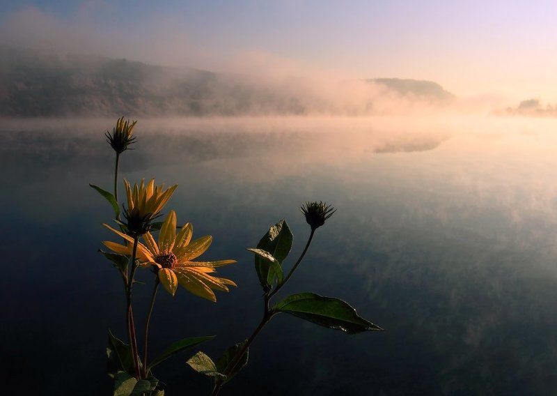 *** фото превью