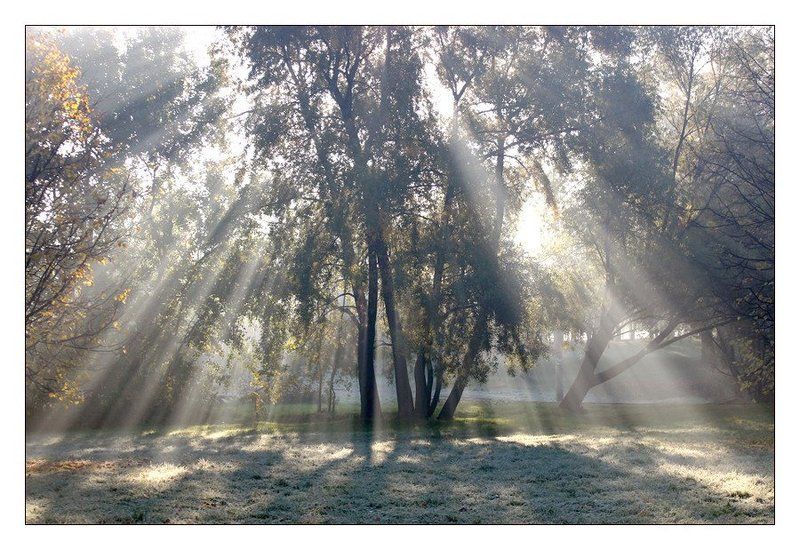 Лучи фото превью