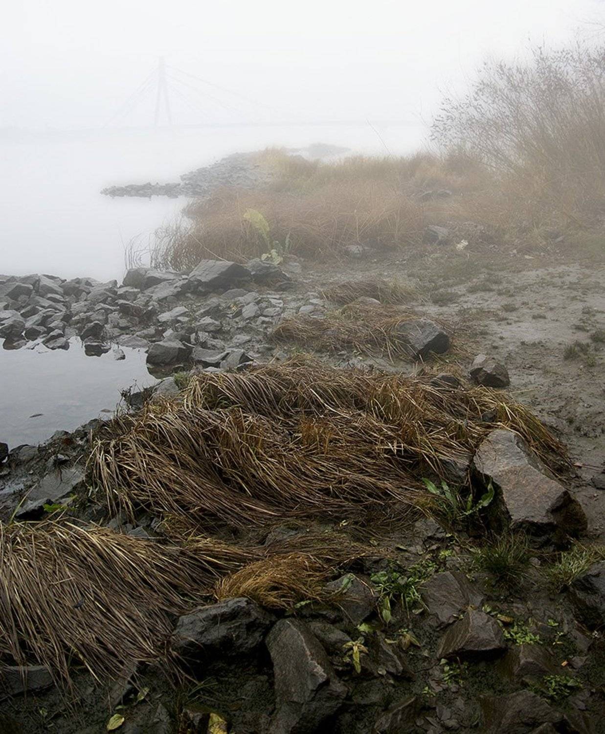 берег, Tina Grach