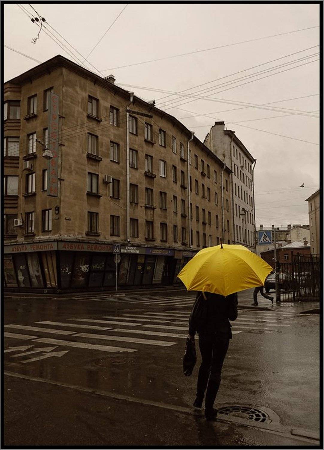 , Лунный Ежик