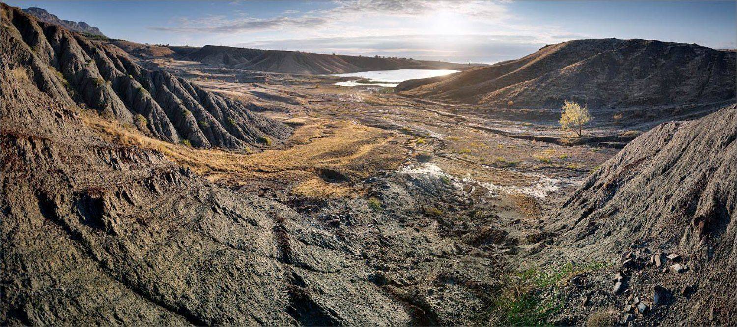 , Алексей Пучков