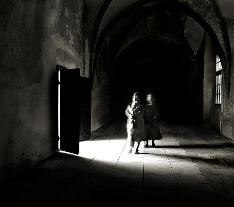 revelation фото превью