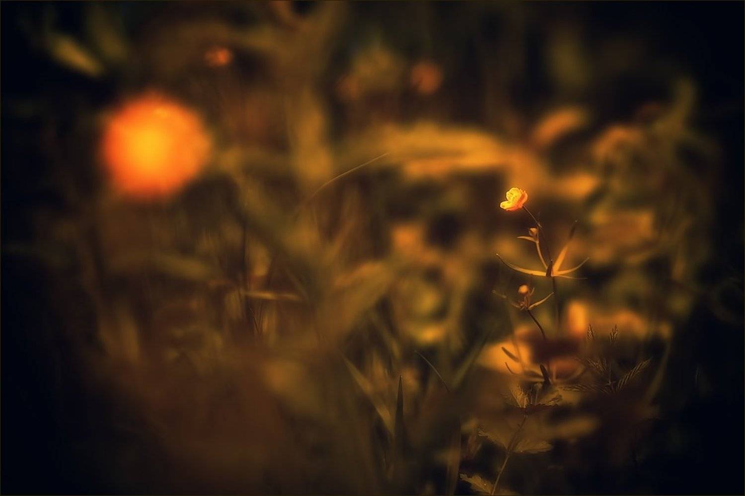 , Суханов Дмитрий