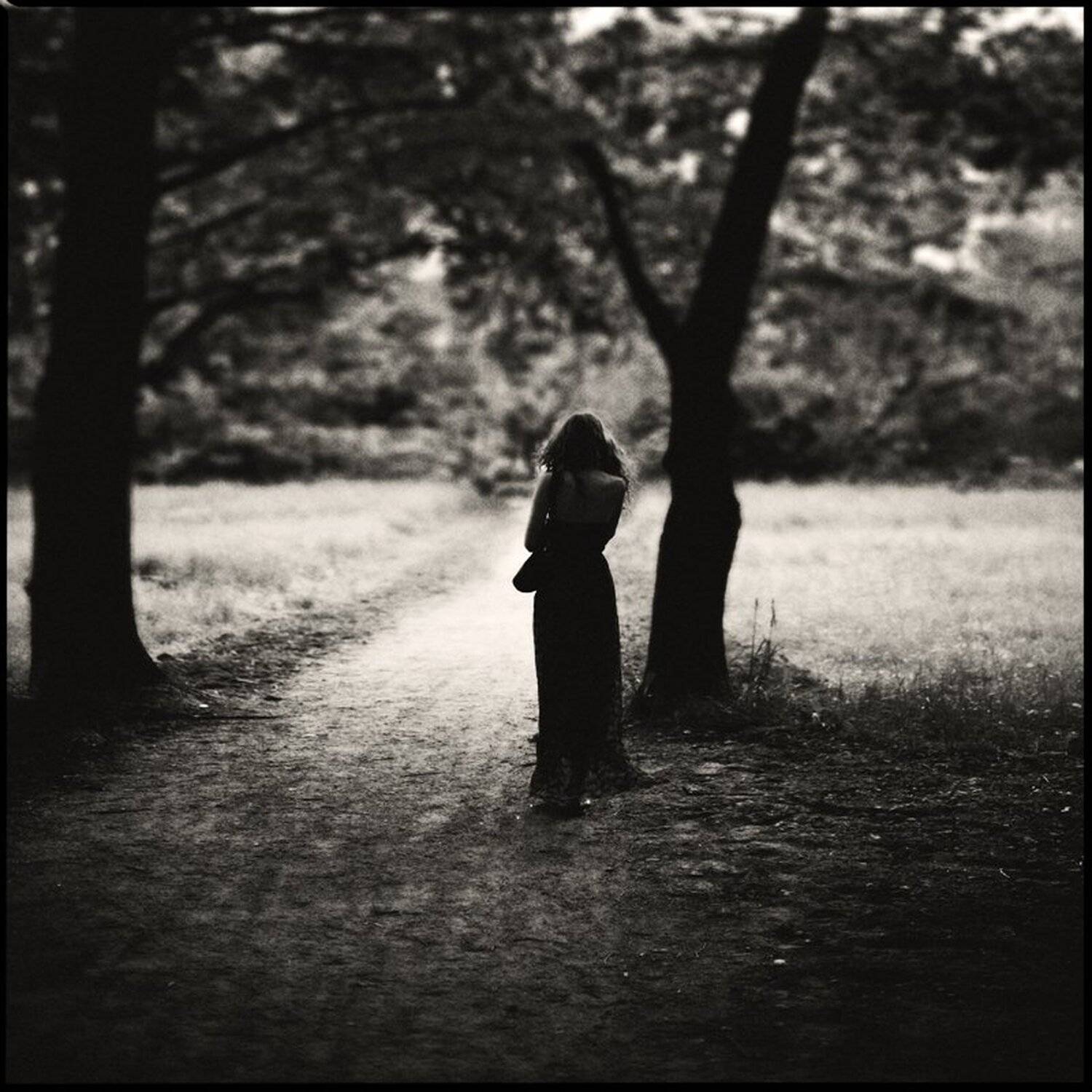 oles, genre, portrait, Анатолий Онкин