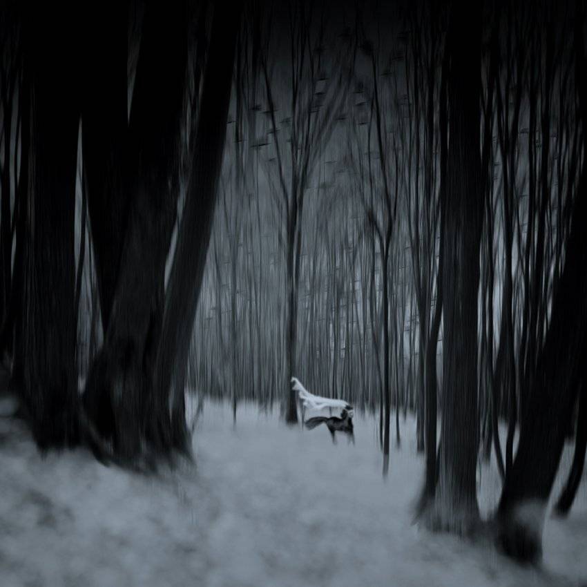 , Caras Ionut