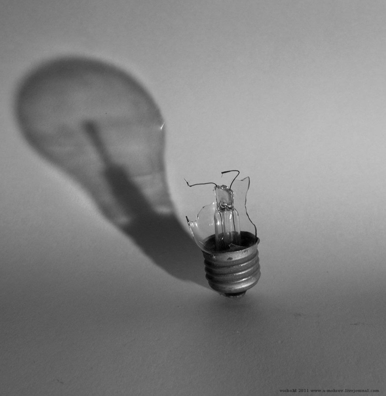 тень, Александр Мокров