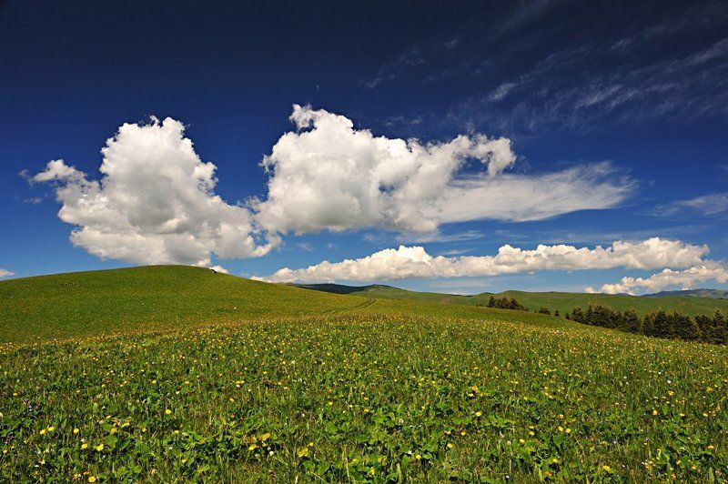 табан карагой, плато, горы, казахстан плато Табан-Карагой фото превью