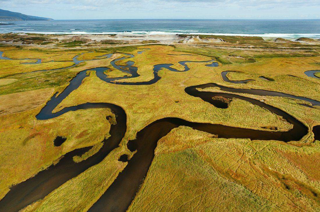 , Надежда Звягина / New Zealand