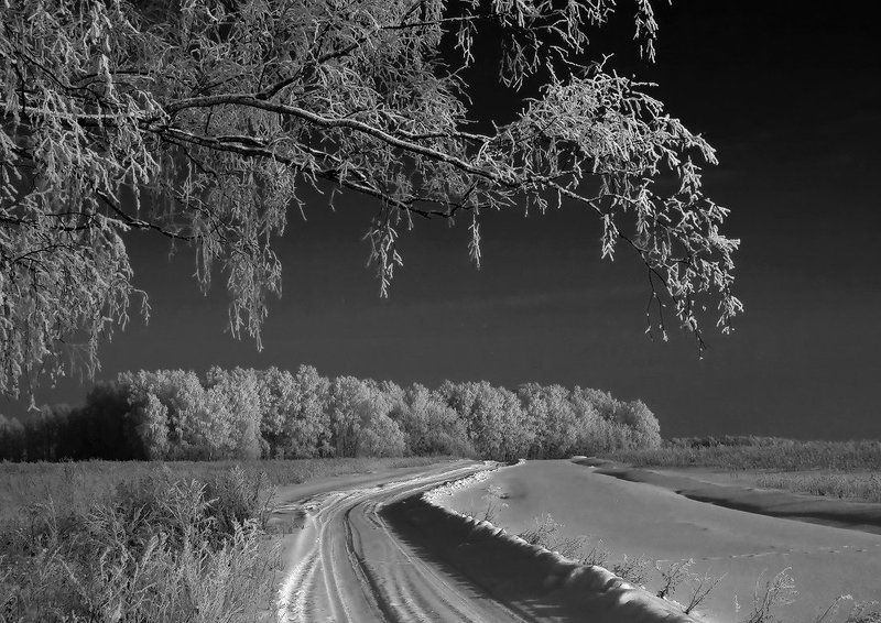 *** фото превью