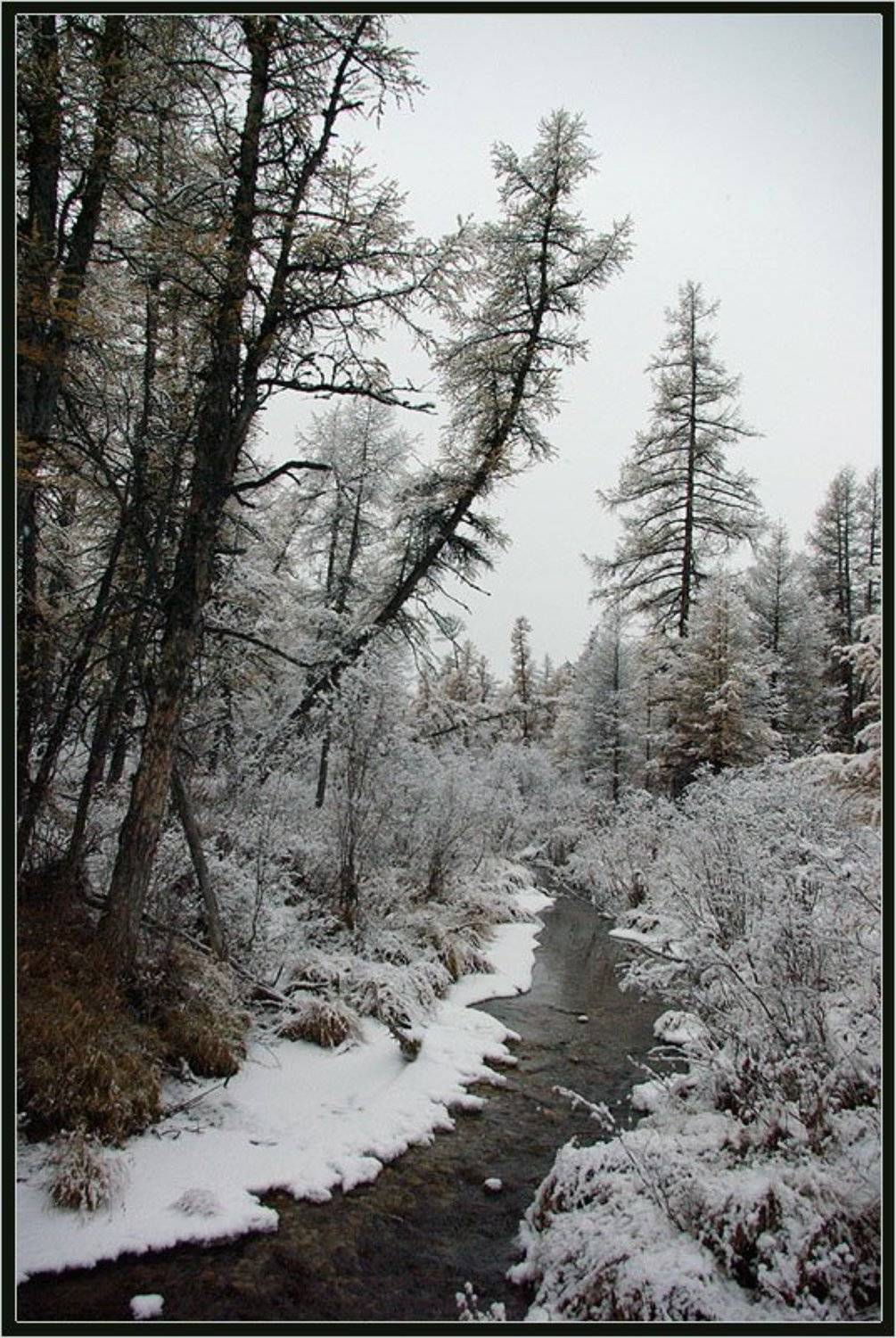 ручей, тайга, зима, приполярье, Солодухин Виктор